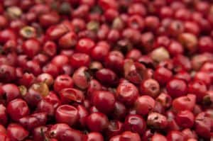 Goji-Beeren - Wunderbeere für die Gesundheit und Anti-Aging-Wunder?